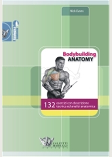 Bodybuilding anatomy