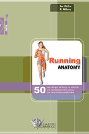 Running anatomy