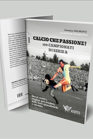 Calcio che passione! 100 campionati di serie A - Ebook